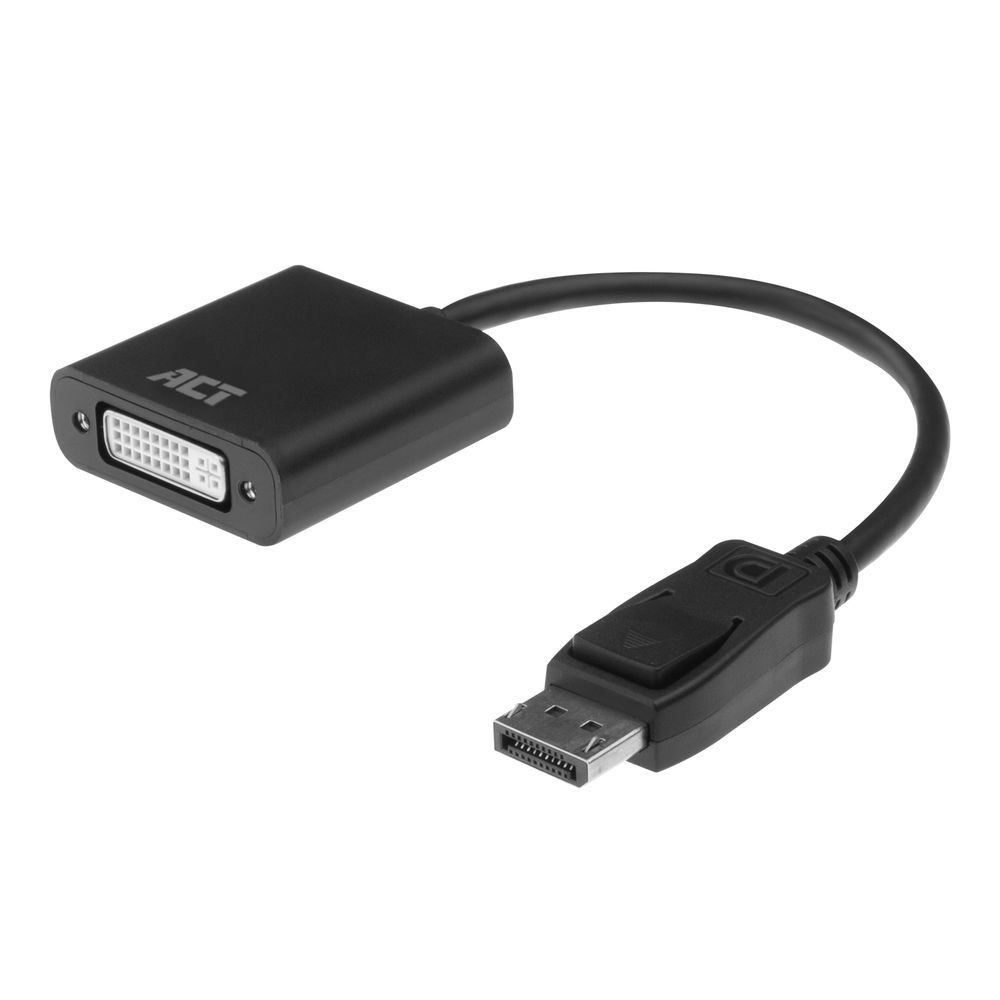 0.15 meters DisplayPort male to DVI female adapter