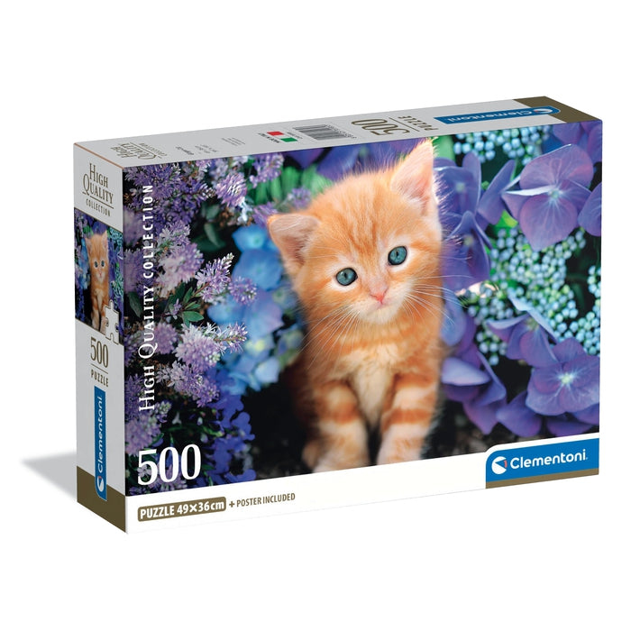 500 pcs CB HQC Ginger Cat