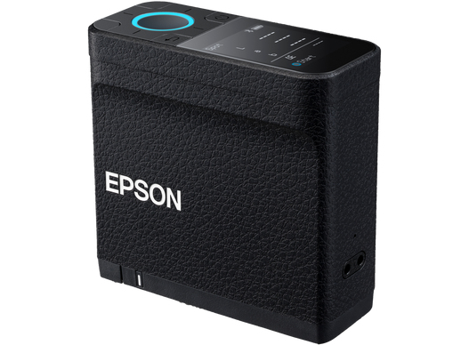 EPSON SD-10 ECSP