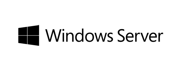 Microsoft Windows Server 2019 Datacent