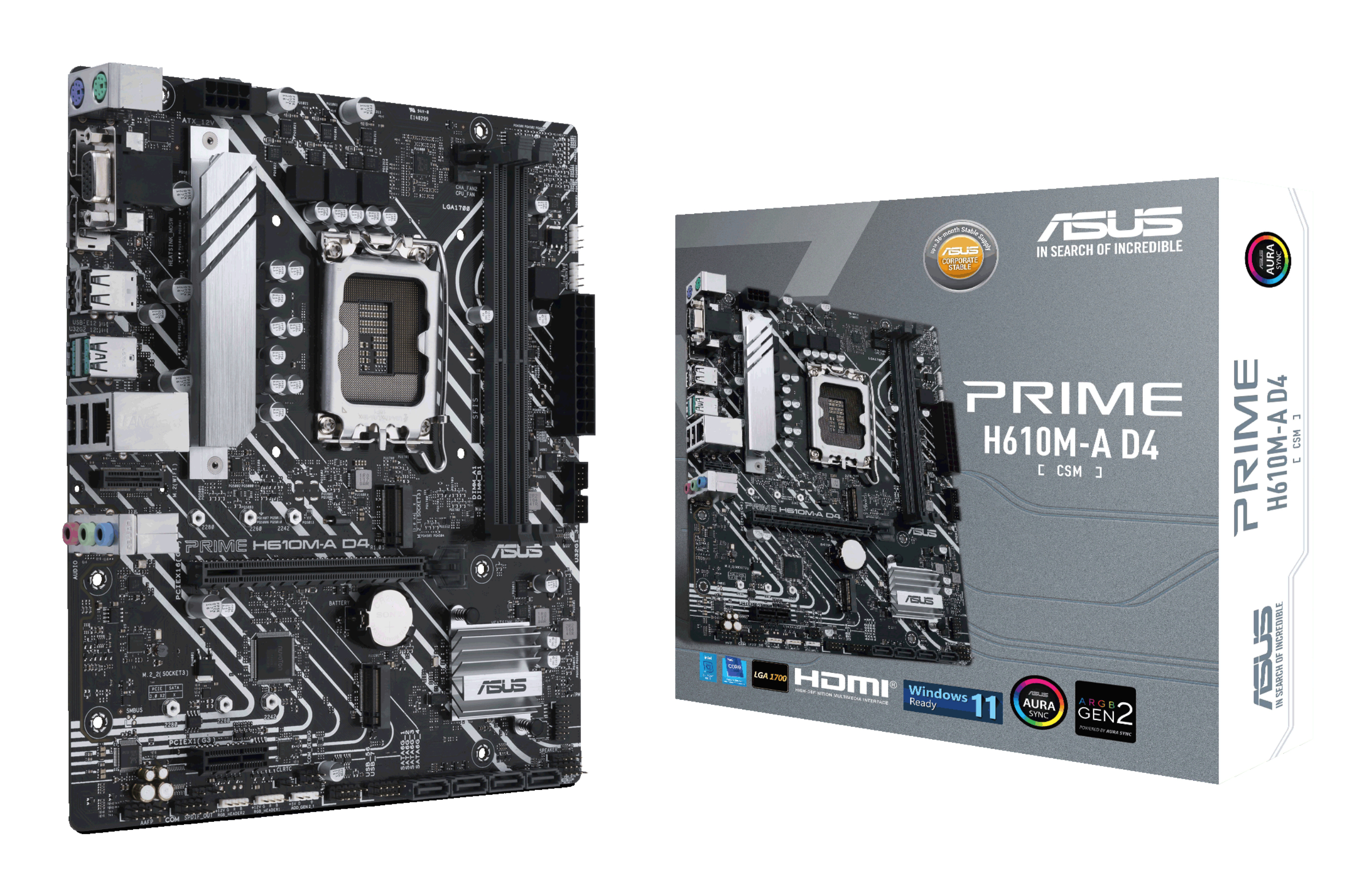 ASUS PRIME H610M-A D4-CSM - bundkort -