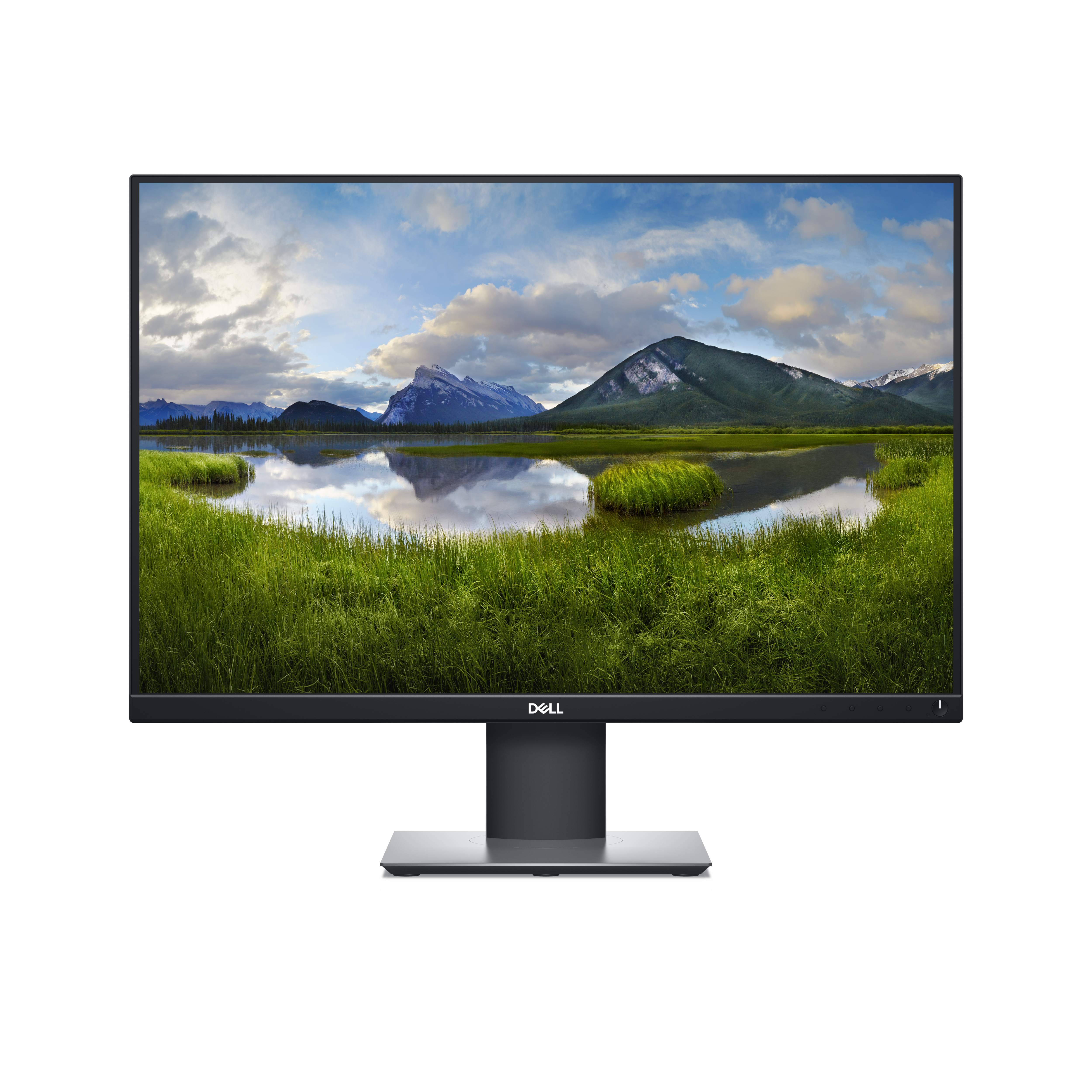 DELL P2421 computerskærm 61,2 cm (24.1
