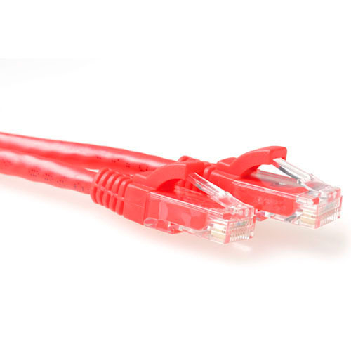 Red 0.25 meter U/UTP CAT6 patch cable snagless with RJ45 connectors