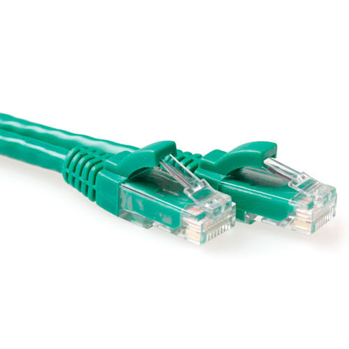 Green 0.25 meter U/UTP CAT6A patch cable snagless with RJ45 connectors