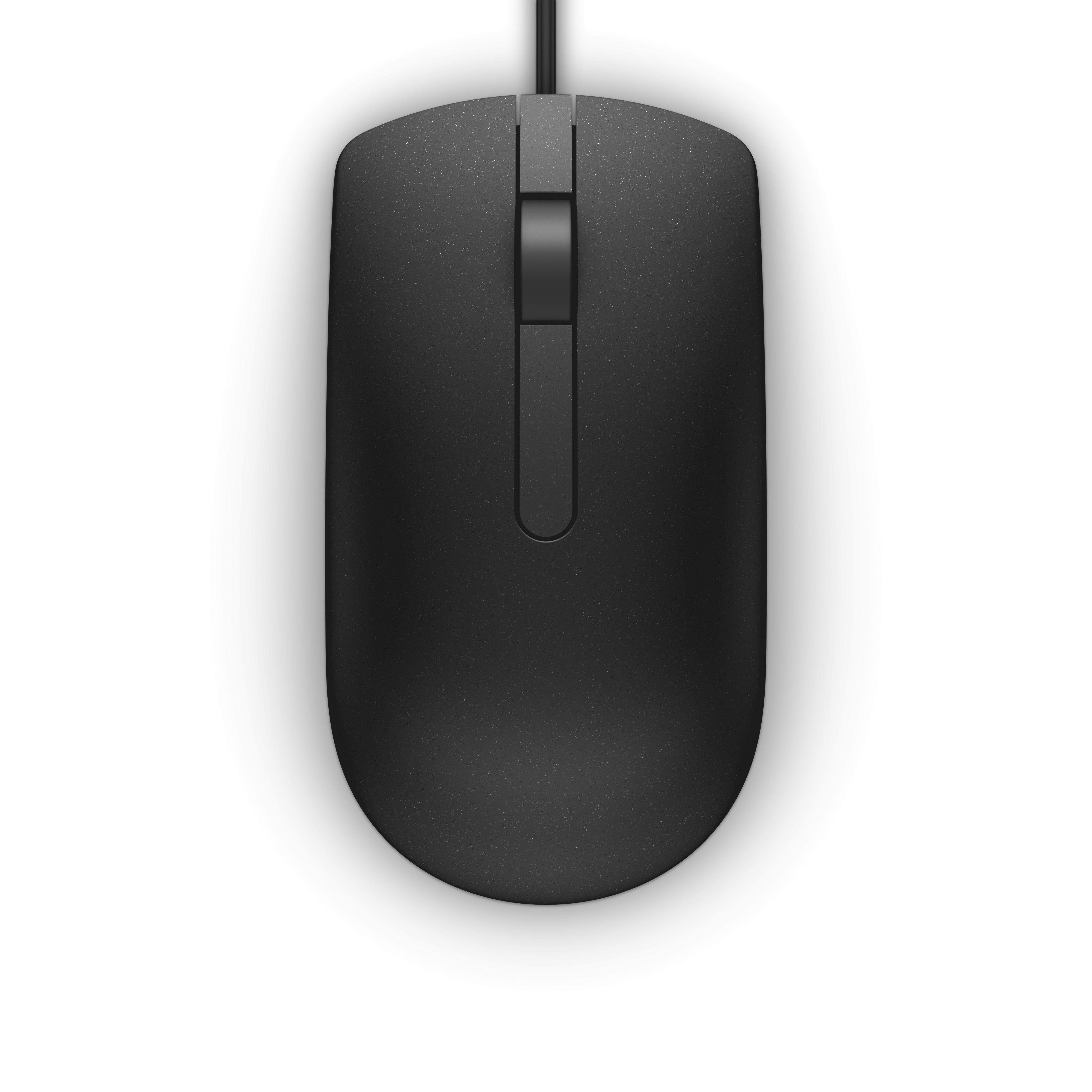 Dell MS116 - mus - USB - sort