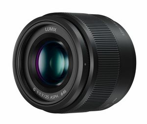 Panasonic Lumix G H-H025E - objektiv -
