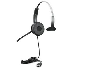 Lenovo 100 Kablet Høretelefoner Sort
