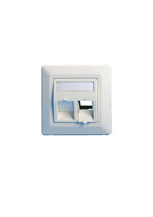 Lanview Wall plate, angled, double  outlet EURO white