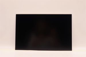 Lenovo 14-inch WUXGA anti-glare IPS  display