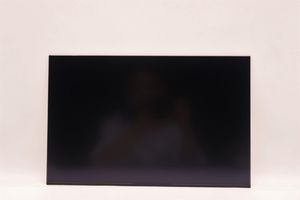 Lenovo 16.0" WUXGA IPS Touch Screen  LCD Panel