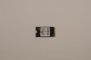 Lenovo 256GB M.2 2242 PCIe NVMe SSD