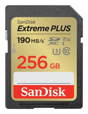 CARD Extreme PLUS 256GB XC MEMORY