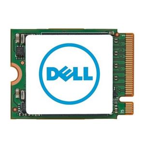 Dell 256GB M.2 NVMe Gen4 Solid  State Drive