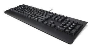 Lenovo Keyboard Home/Office Usb  Finnish, Swedish Black