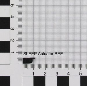 Nintendo ACT/SLEEP (K1) BEE