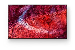Sony FW-55BZ40PB | 55"" | 3840x2160 | 700Nits | 24/7 | Pro Mode