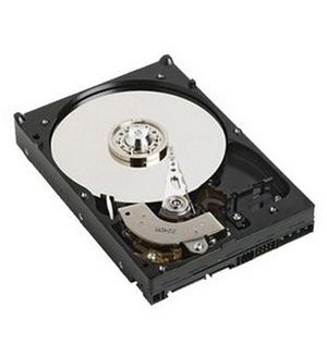 Dell 1TB 7.2K 6G 3.5INCH SATA HDD