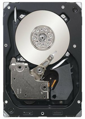 Seagate 300GB 15kADrive **Refurbished**