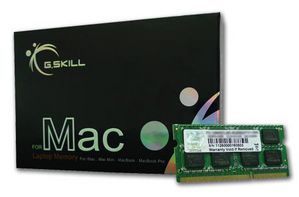 G.Skill SQ Series - 4GB - DDR3 - 1066M