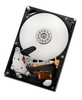 HGST 2TB SATAII 32MB, RAID **Refurbished**
