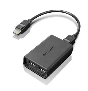 Lenovo Disply Adp DisplayPort to  Dual-DisplayPort Monitor Cable, USB A, USB A, Male/Female, Black