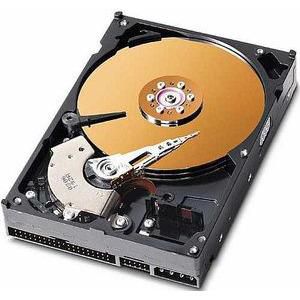 CoreParts 250GB 3,5" IDE 8MB 7200RPM *Refurbished Parts*