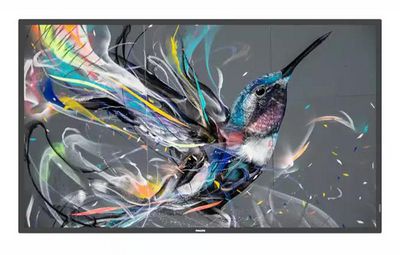 PHILIPS Q-Line 65BDL3511Q 18/7/UHD/400cd (Speditionsversand)