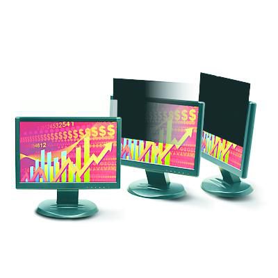 3M databeskyttelsesfilter til 21,3" st