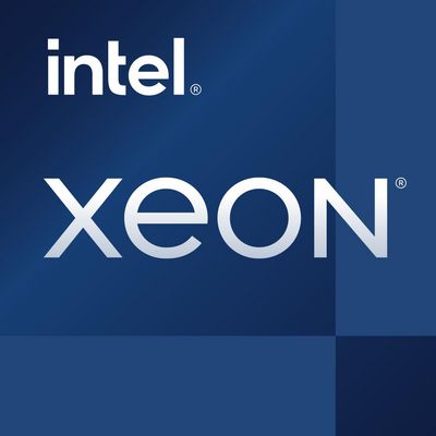 Intel Xeon E-2378G 2,8 GHz 8 kerner LGA 1200 TRAY - u/køler