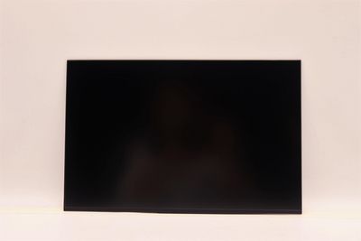 Lenovo 14-inch WUXGA anti-glare IPS display