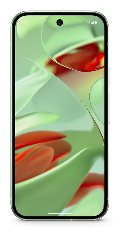 Google Pixel 9 256 Wintergreen