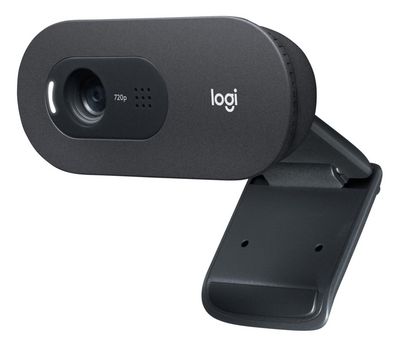 Logitech C505E Webcam