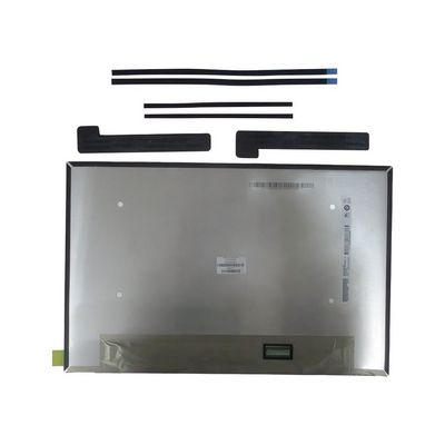 HP RAW Panel 14WUXGA AGUWVA 250 NITS 30 Pins