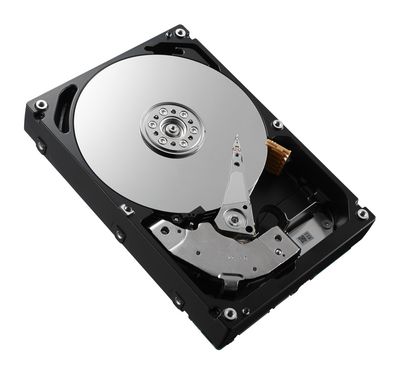 Dell 300GB 10K 6G 2.5INCH HOTSWAP SAS HDD